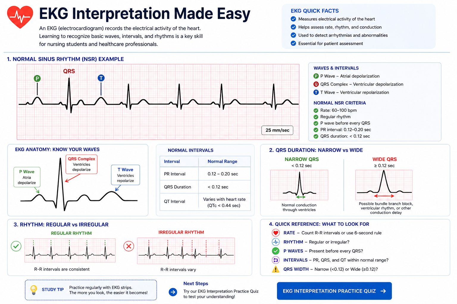 EKG interpretation guide showing P waves, QRS complexes, T waves, intervals, and rhythm basics